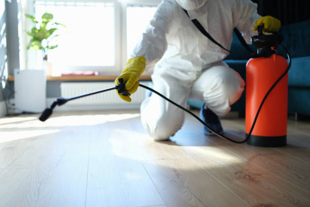 Best Local Pest Control Services  in Tuscola, IL